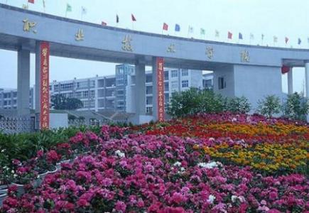  四川職業(yè)技術(shù)學(xué)院2018年單獨招生錄取分?jǐn)?shù)線