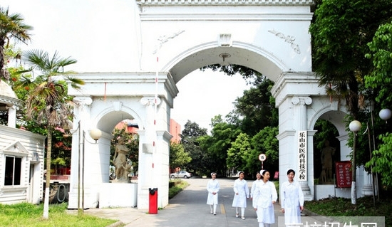 樂山市醫(yī)藥科技學校