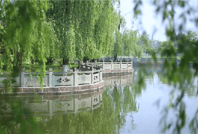  四川現(xiàn)代藝術(shù)學(xué)校怎么樣|師資好不好？