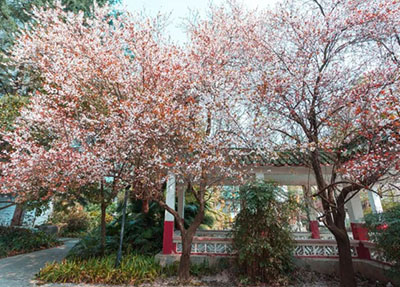 為什么寧愿花高價(jià)讀私立高中也不讀職高？