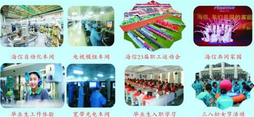 青島海信中心聯(lián)校就業(yè)情況怎么樣？