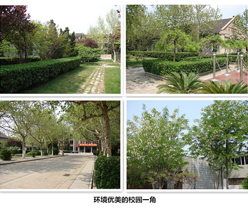 德州普利森技工學(xué)校校園環(huán)境好嗎？