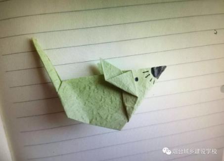 “停課不停學”—煙臺城鄉(xiāng)建設(shè)學校學前科在行動