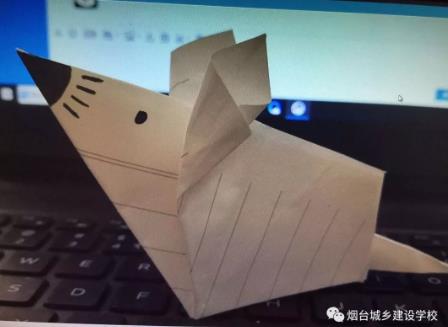 “停課不停學”—煙臺城鄉(xiāng)建設(shè)學校學前科在行動