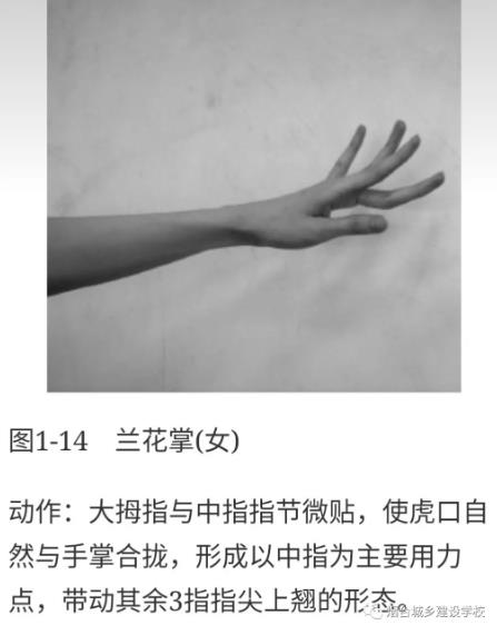 “停課不停學”—煙臺城鄉(xiāng)建設(shè)學校學前科在行動