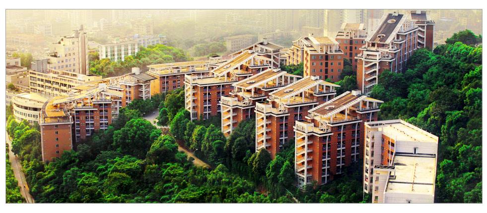  重慶理工大學(xué)各專業(yè)2020年錄取原則有哪些呢？