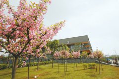  2024年重慶理工大學(xué)學(xué)校地址位于哪里呢？