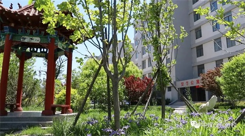中國(guó)煤礦文工團(tuán)藝術(shù)學(xué)?！H坊市工業(yè)學(xué)校合作專業(yè) 2020年招生開(kāi)始了！