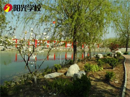 泰安陽光汽車專修學(xué)校有哪些優(yōu)勢？