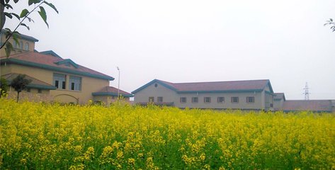 重慶輕工職業(yè)學(xué)院的學(xué)費