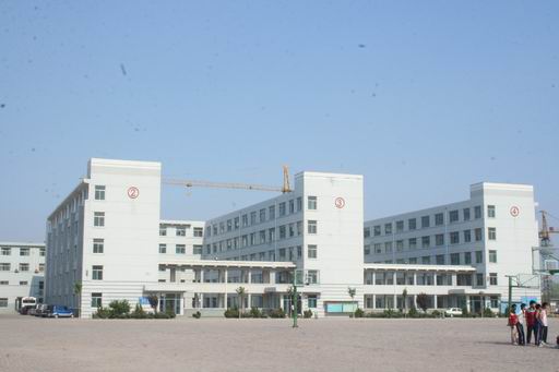 德州新星職業(yè)學校齊魯學院有哪些專業(yè)設置？