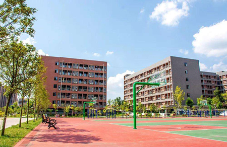  四川科技職業(yè)學院專升本該怎么做？