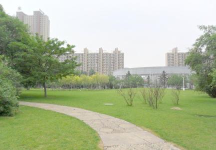成都華大醫(yī)藥衛(wèi)生學(xué)?？谇恍迯?fù)工藝學(xué)專業(yè)介紹