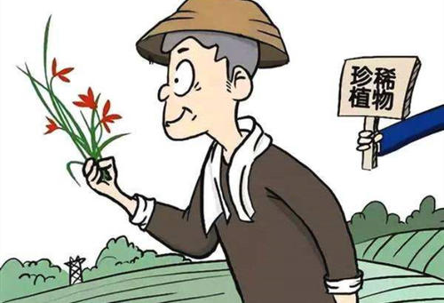 植物保護專業(yè)就業(yè)方向有哪些？