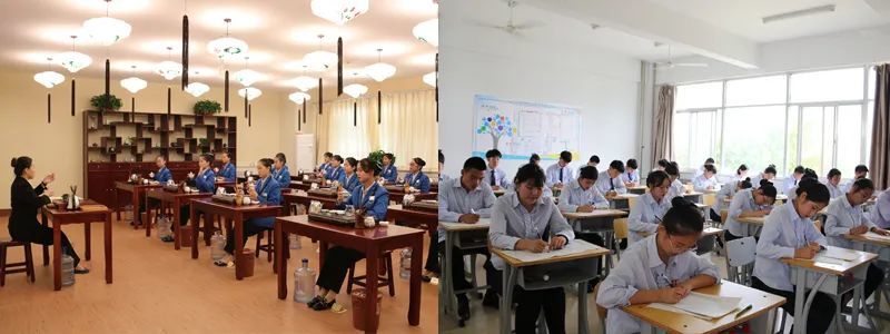 山東藍海職業(yè)學校怎么樣？能夠幫助學生升學嗎？