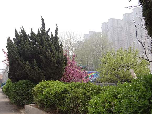 煙臺天虹學(xué)院春季高考的優(yōu)勢？