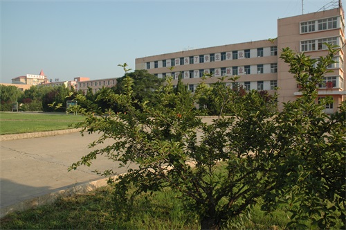 山東龍口礦業(yè)集團高級技工學(xué)校學(xué)生能參加職教高考嗎？