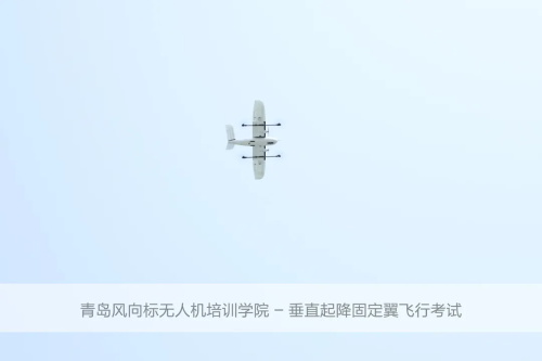 青島風(fēng)向標(biāo)無(wú)人機(jī)培訓(xùn)學(xué)院：關(guān)于無(wú)人機(jī)培訓(xùn)，你想知道的都在這里...